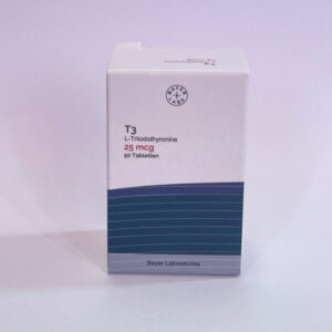 t3